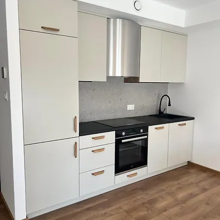 Nowoczesny Apartament Z Antresola Biskupiec (Olsztyn)